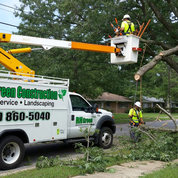 tree removal